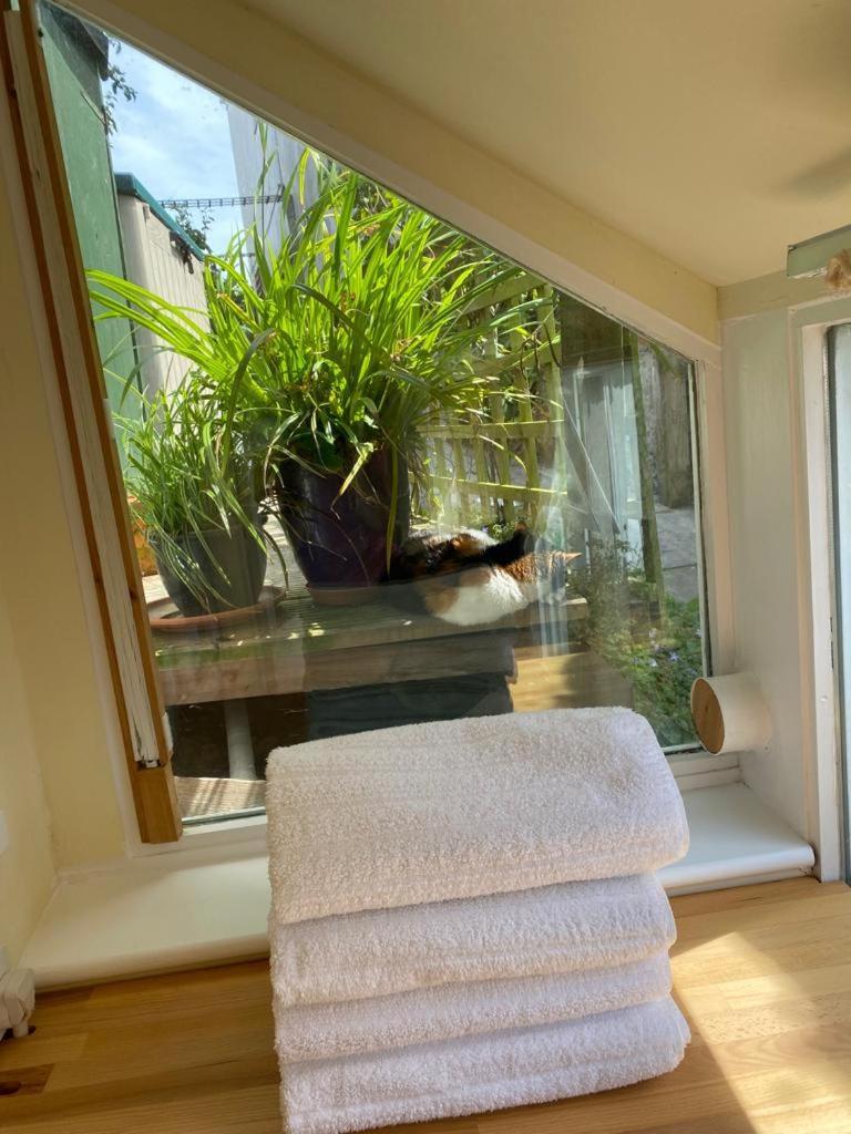 Lyme Clifftop Hideaway Λάιμ Ρέγκις Εξωτερικό φωτογραφία