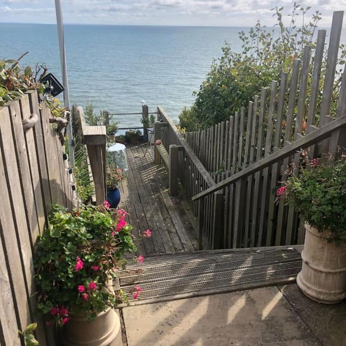 Lyme Clifftop Hideaway Λάιμ Ρέγκις Εξωτερικό φωτογραφία